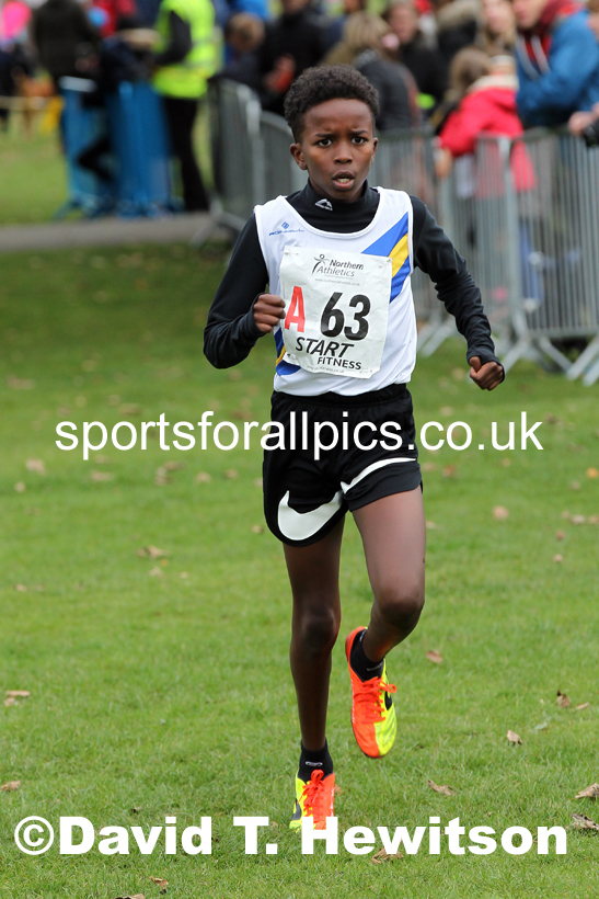 Boys under-13s Northern Cross Country Relays, Graves Park, Sheffield. Photo: David T. Hewitson/Sports for All Pics